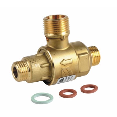 Disconnecteur WATTS CBC 1/4" - DIFF pour ELM Leblanc : 87167454860